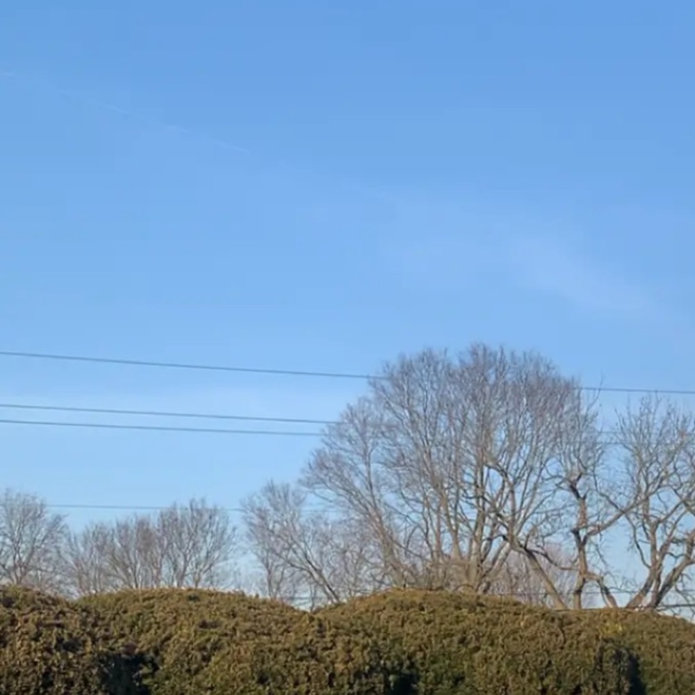 Meet your Posher, Nashia